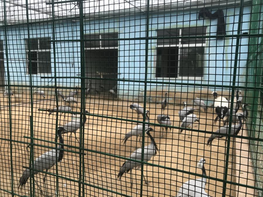 天鵝湖風景區(qū)（泰山）速覽！(圖5)