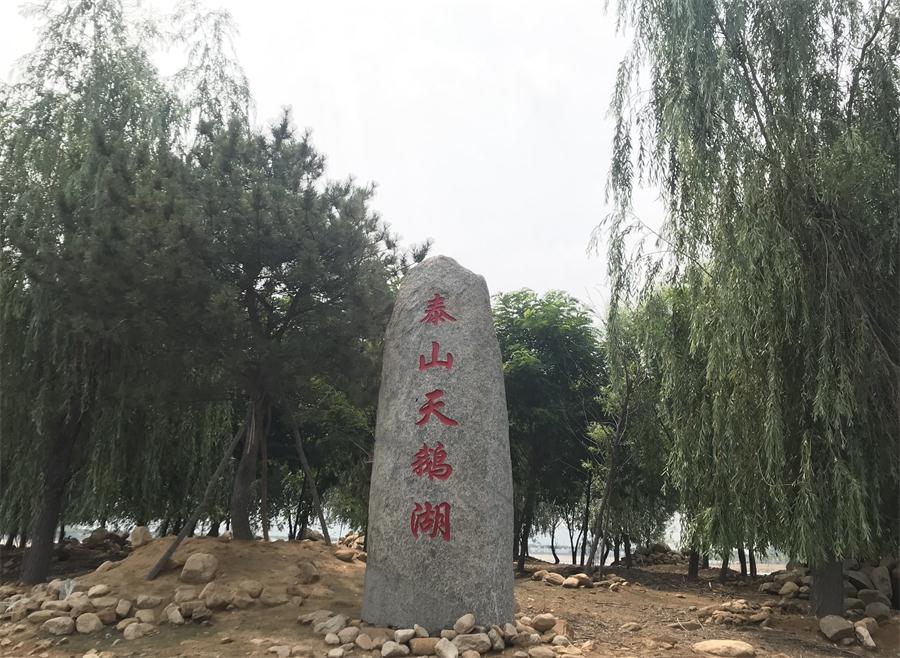 天鵝湖風景區(qū)（泰山）速覽！(圖12)