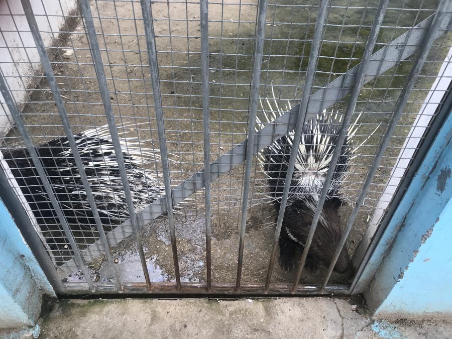 天鵝湖風景區(qū)（泰山）速覽！(圖10)