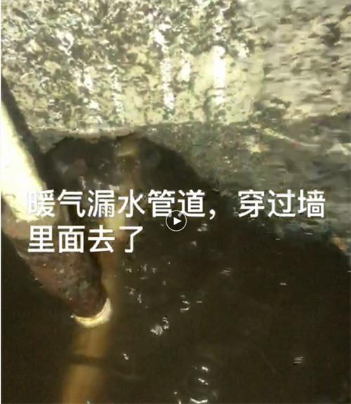 精準(zhǔn)檢測(cè)漏水、滲水：客廳、廚房、衛(wèi)生間。。。(圖4)