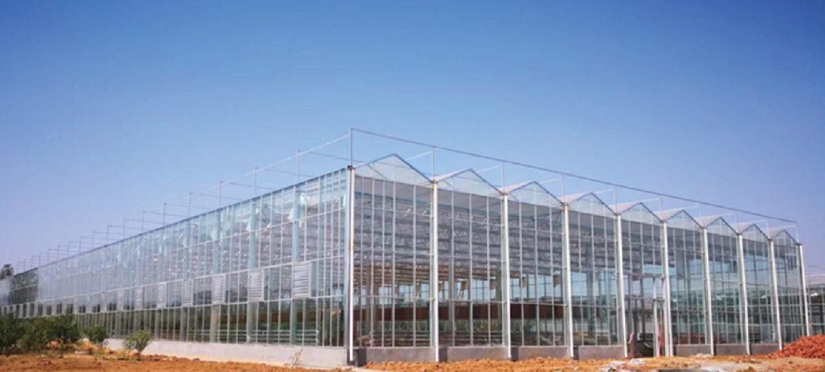 信橋鋼構(gòu)：打卡蒙陰農(nóng)業(yè)溫室大棚、青州黑牛養(yǎng)殖基地！(圖2)